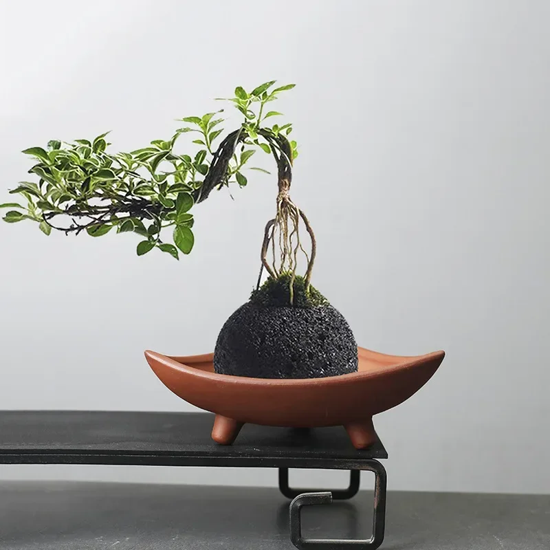 Japanese Garden Bonsai - Bambu kapalı mikro peyzaj bitkileri mor