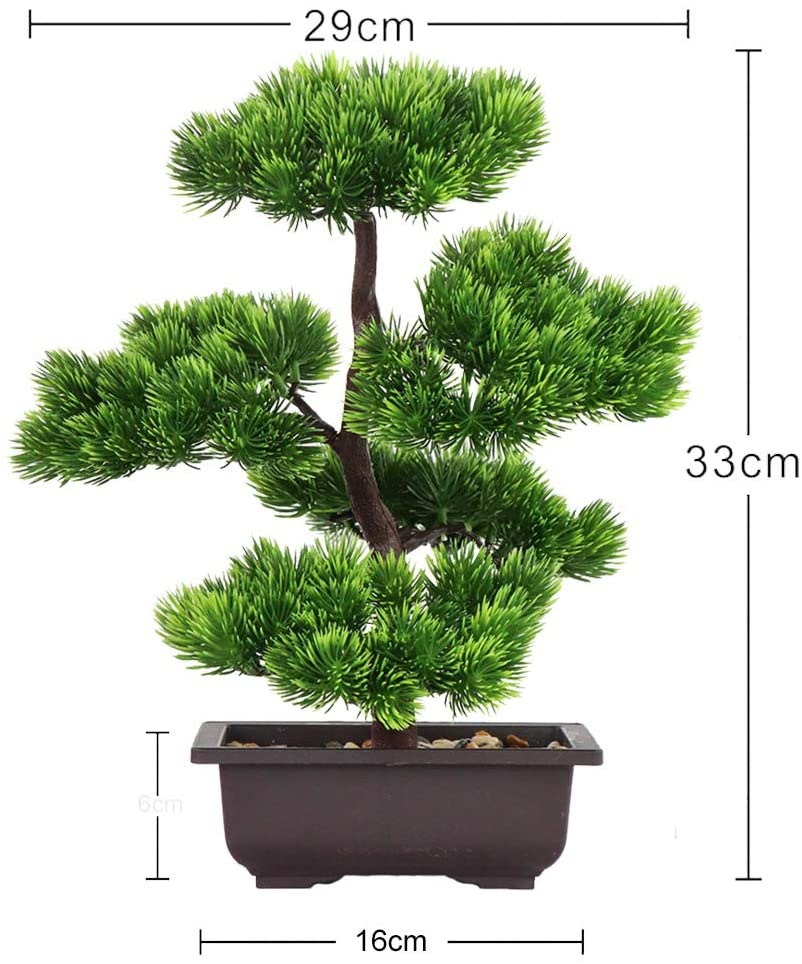Ev Dekorasyonu için Japon Çamı - Japanese Garden Bonsai incelemesi ve fiyatı