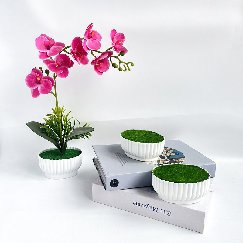 Simüle edilmiş saksılar, otell - Bonsai Garden Shop incelemesi ve fiyatı