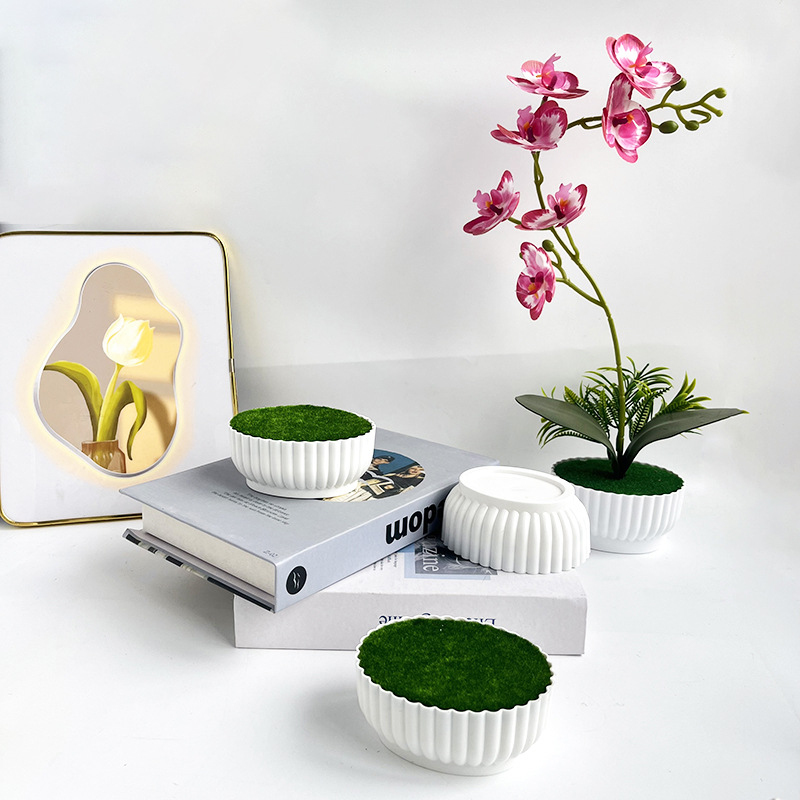 Simüle edilmiş saksılar, otell - Bonsai Garden Shop incelemesi ve fiyatı