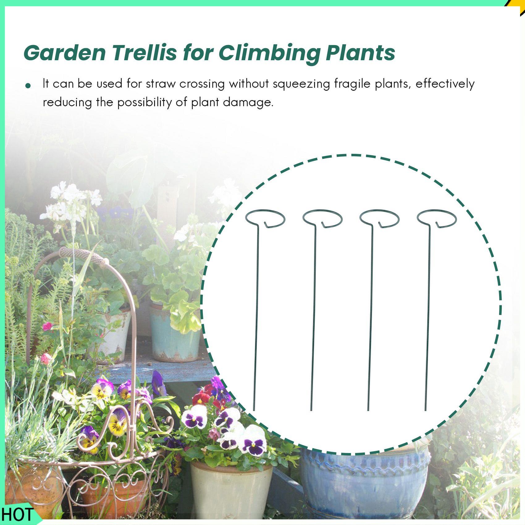 AWAH 8 ADET Güzel Bitki Destek - Bonsai Garden Backyard incelemesi ve fiyatı