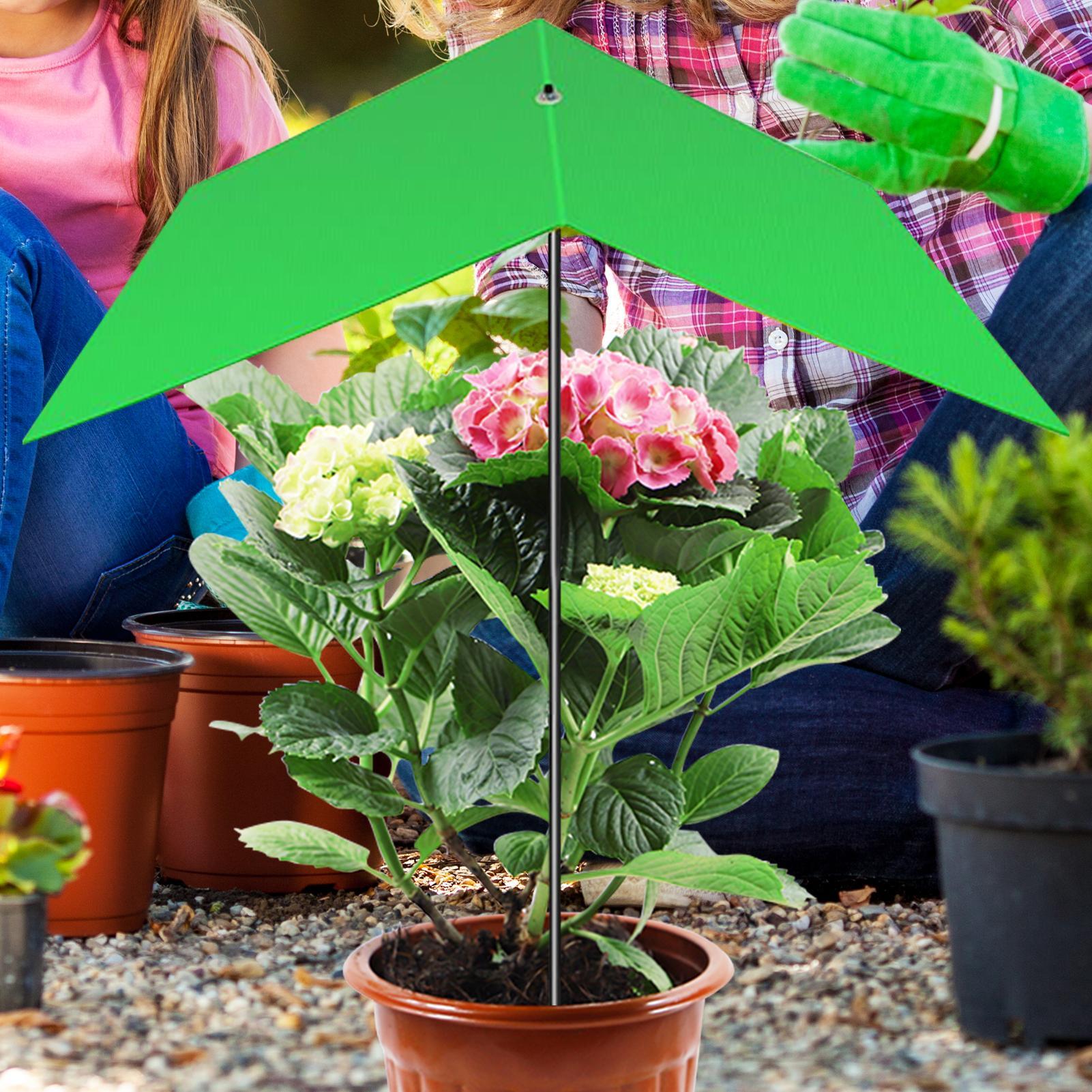 Bitki Şemsiyesi Anti-UV Isı Az - Bonsai Garden Backyard incelemesi ve fiyatı