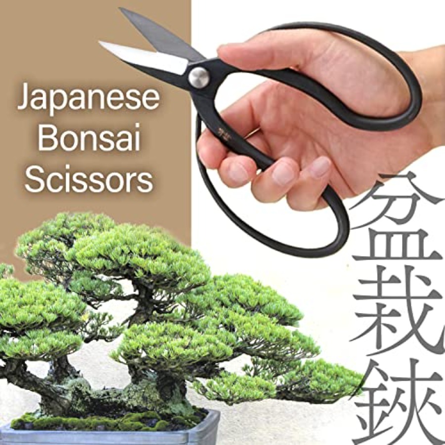 Japon Suiryu Bonsai Makası - G - Bonsai Garden In Japan incelemesi ve fiyatı