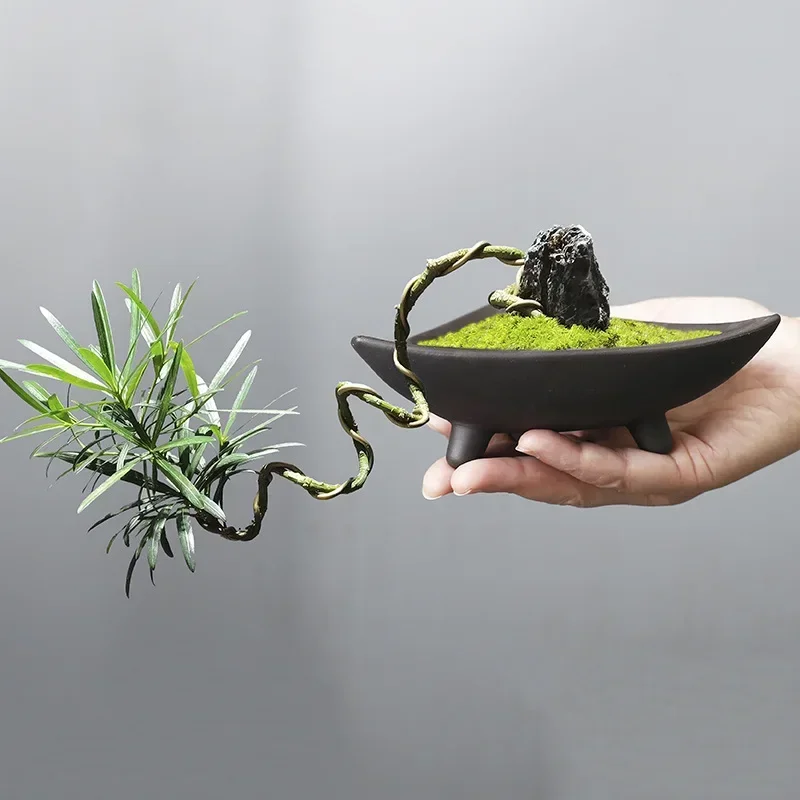 Bambu kapalı mikro peyzaj bitk - Japanese Garden Bonsai incelemesi ve fiyatı