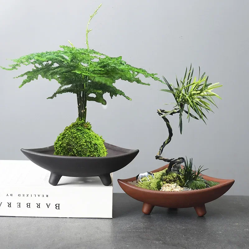 Bambu kapalı mikro peyzaj bitk - Japanese Garden Bonsai incelemesi ve fiyatı