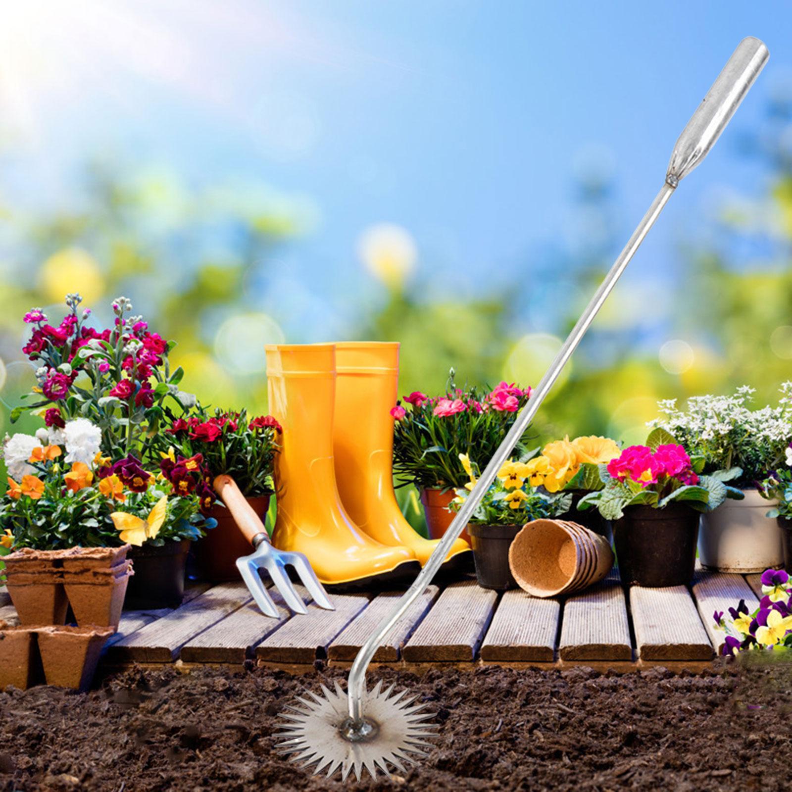 Yabani ot temizleme aracı bahç - Bonsai Garden Backyard incelemesi ve fiyatı