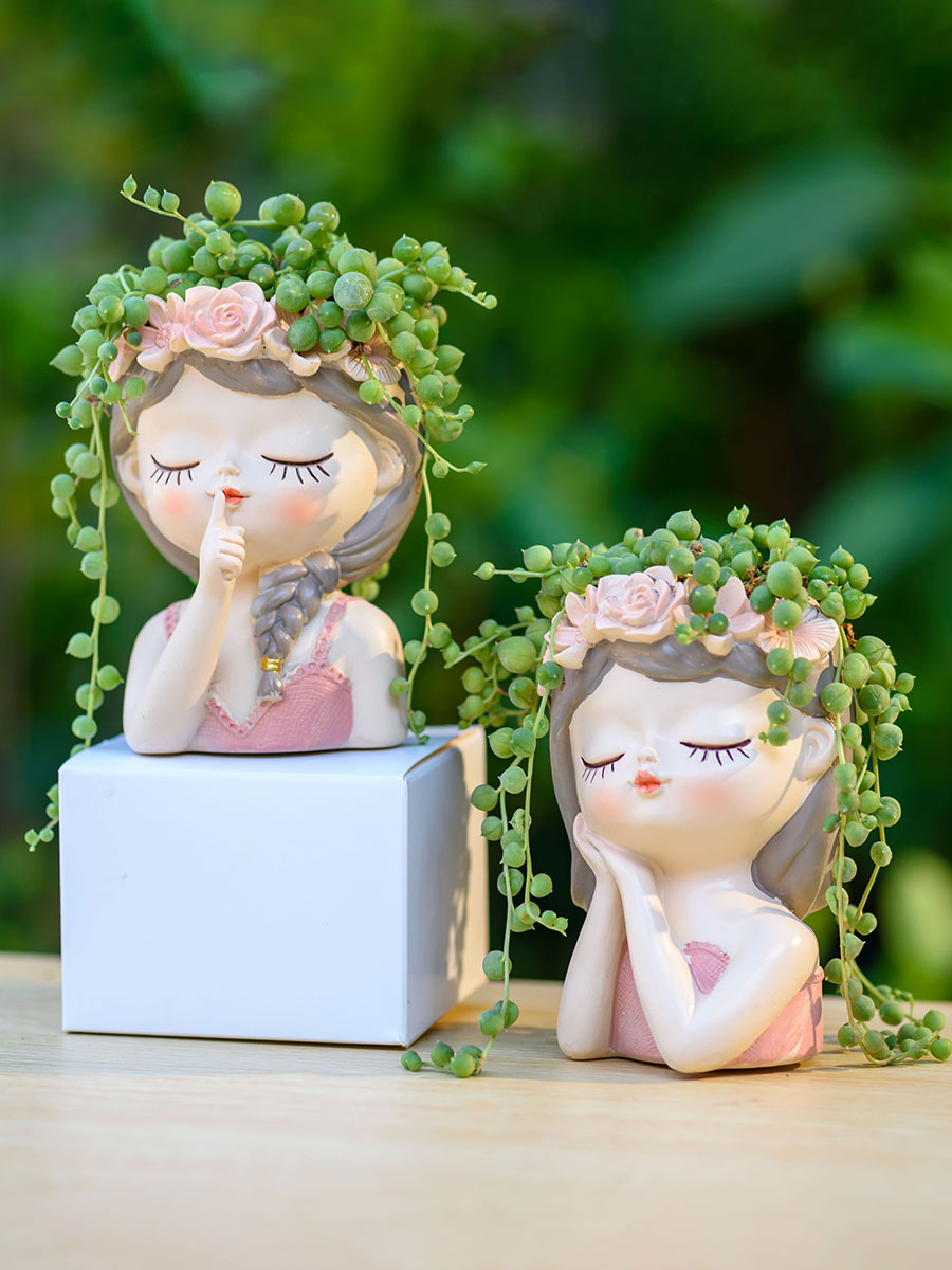Peri planlents yetiştiricileri - Japanese Garden Bonsai incelemesi ve fiyatı