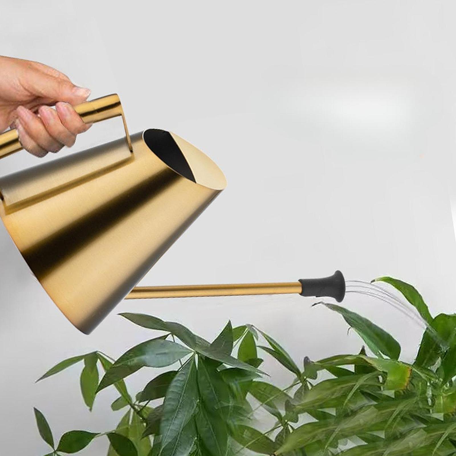 900ml sulama kabı fıskiye başl - Bonsai Garden Backyard incelemesi ve fiyatı