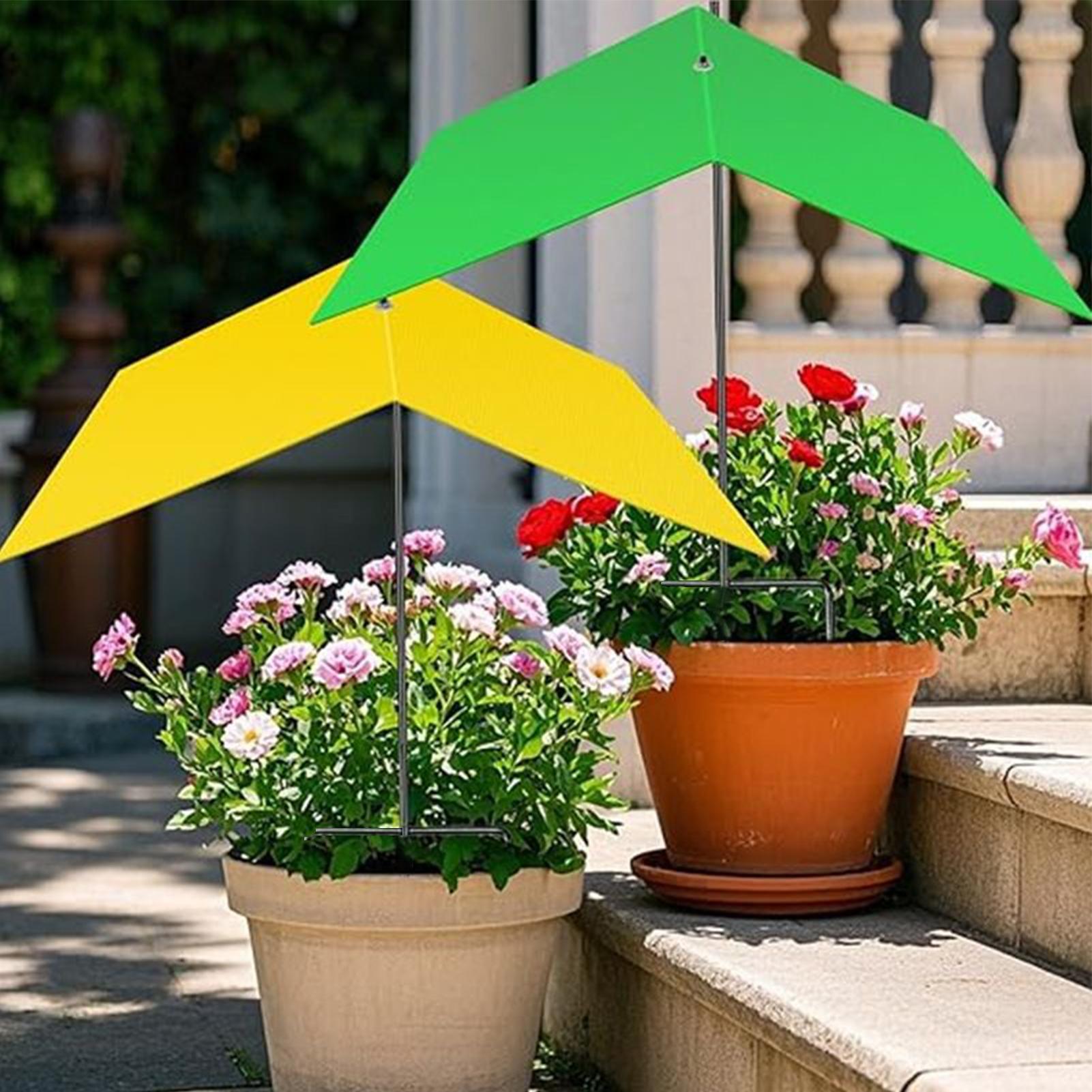 Dış Mekan Bitkileri İçin Şemsi - Bonsai Garden Backyard incelemesi ve fiyatı