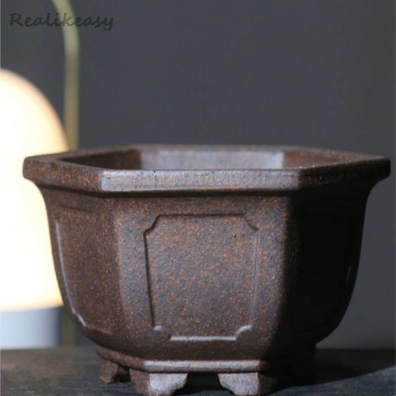 Mor kum saksı altıgen Bonsai s - Japanese Garden Bonsai incelemesi ve fiyatı